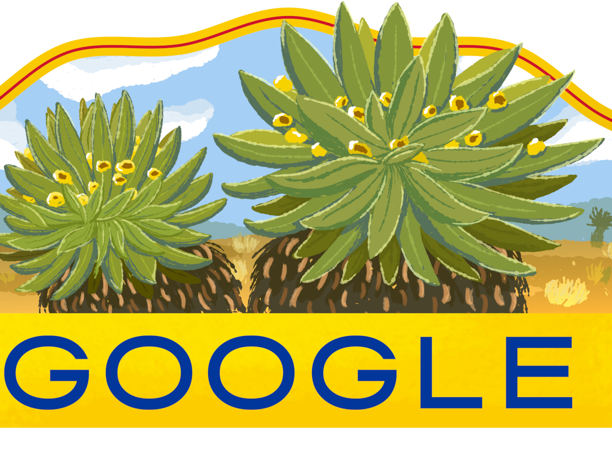 Independencia de Colombia: Google rinde homenaje a los frailejones este 20 de julio
