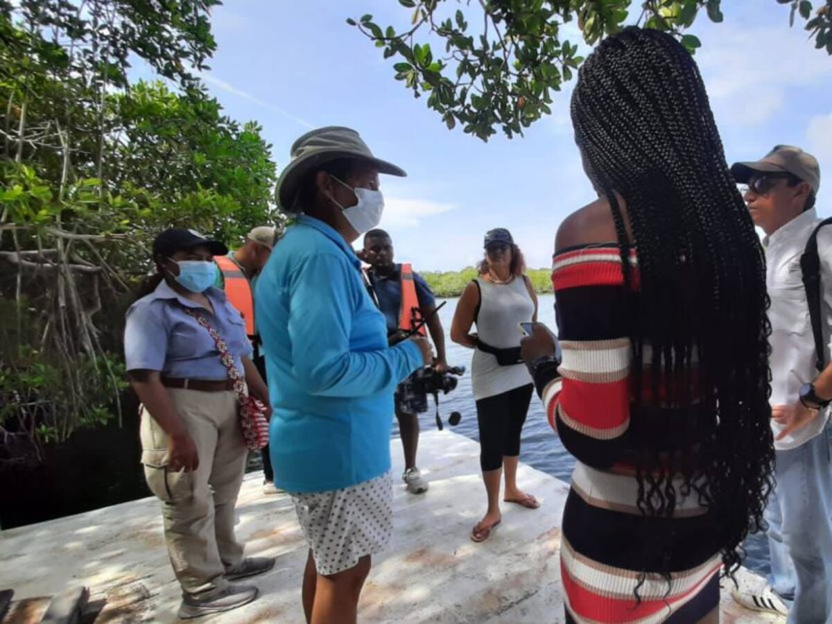 Cardique realizó intervención en Isla Grande para recuperar manglares