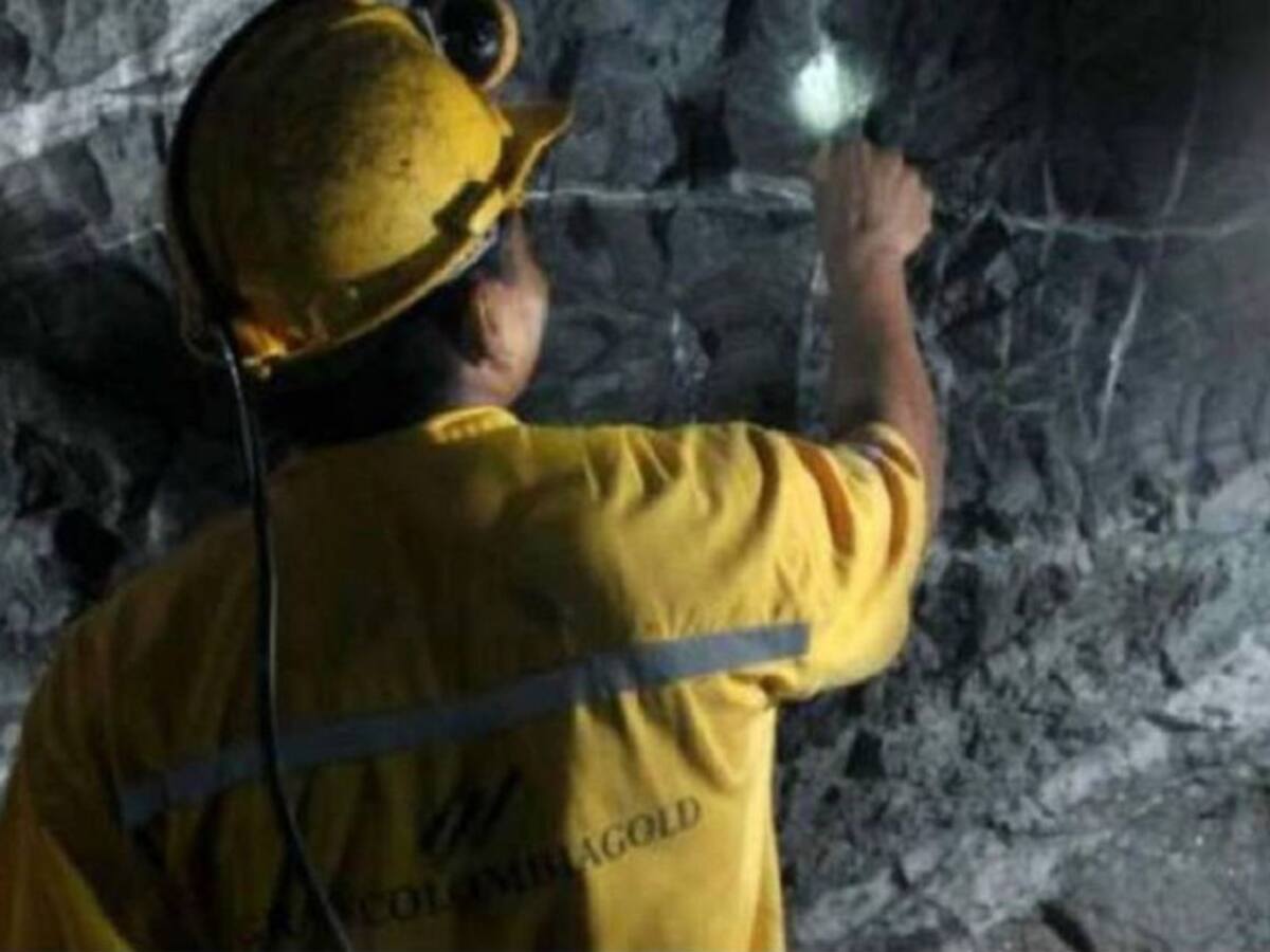 SAI manifestó preocupación por decreto que permite declarar reserva a zonas mineras