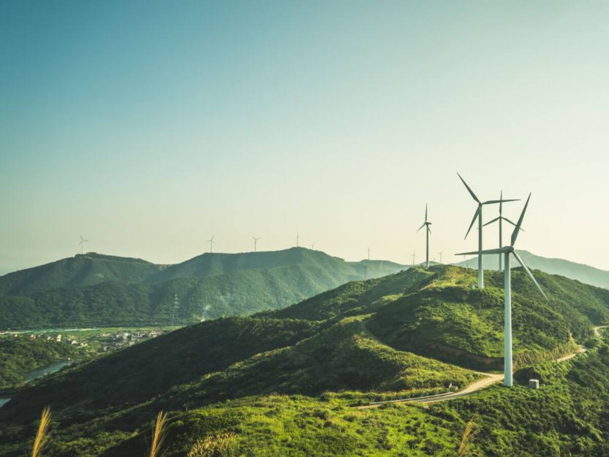 Los diálogos regionales de paz total deben incluir al medio ambiente