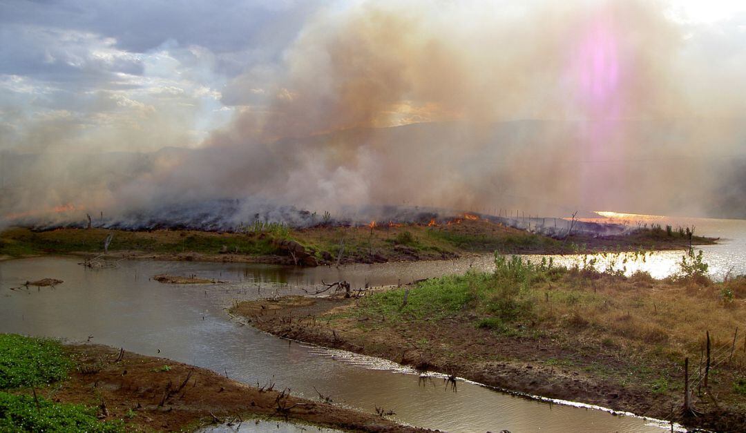 Preparan proyecto para regular participación ciudadana en temas ambientales