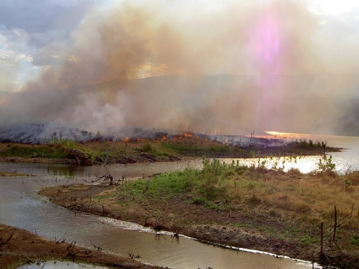 Preparan proyecto para regular participación ciudadana en temas ambientales