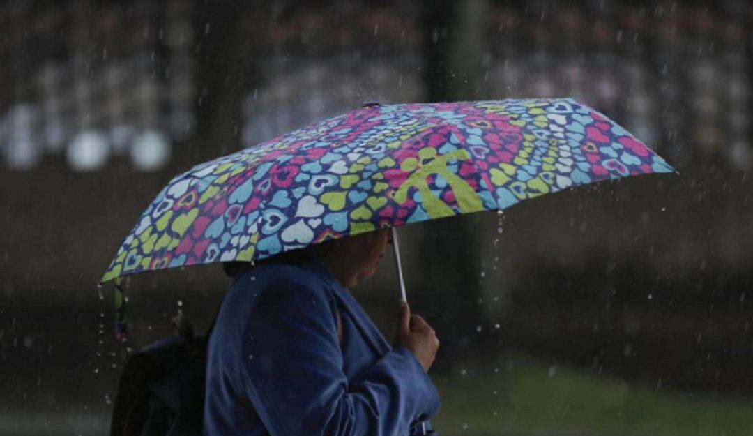 Imagen de referencia