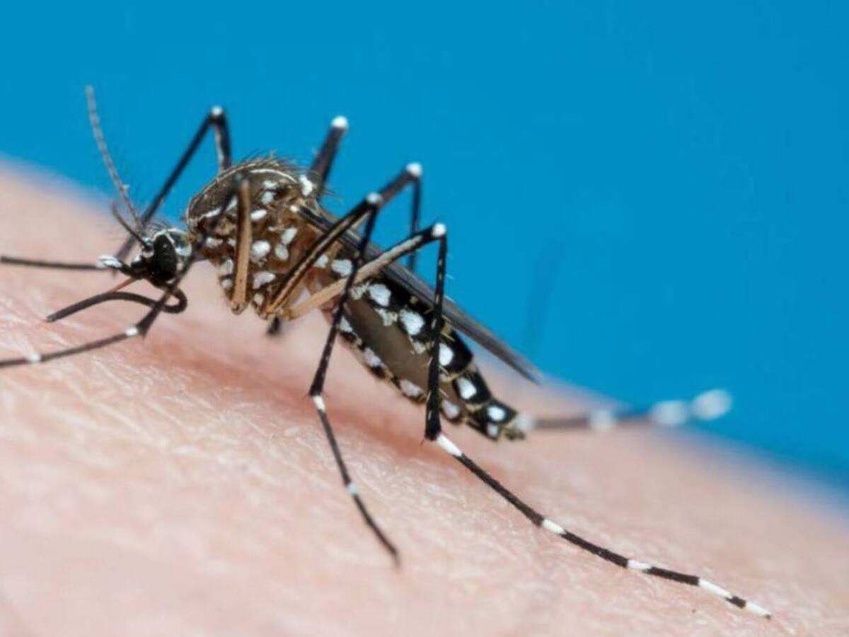 Dos personas muertas en Risaralda por contagio de dengue