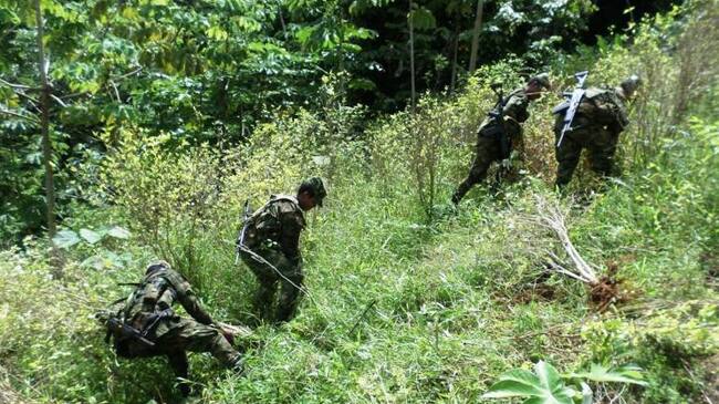 Imagen de referencia.