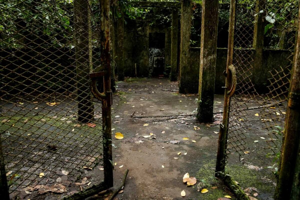 La naturaleza reclama su territorio y se instala en las ruinas de lo que alguna vez fue un temido lugar de reclusión en el Pacífico colombiano.