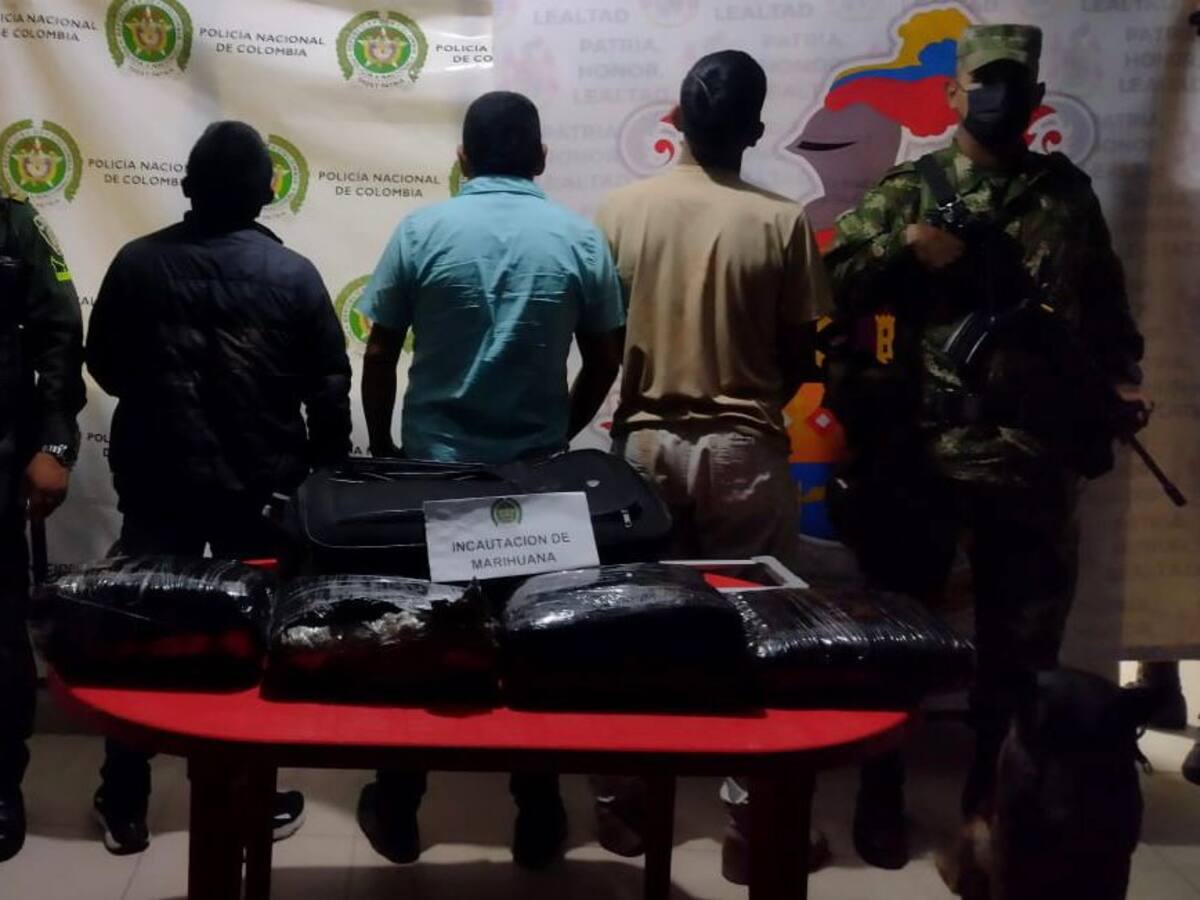 Ejército incautó 20 kilos de marihuana tipo Creepy en vías del Huila