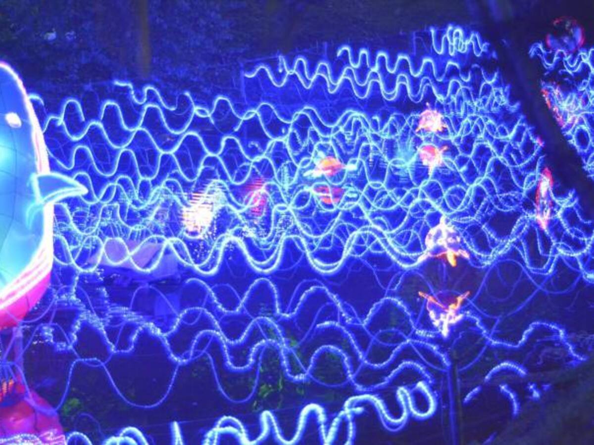 “Una navidad por la vida, cuidemos el agua” alumbrado navideño en el Parque de la Vida de Armenia