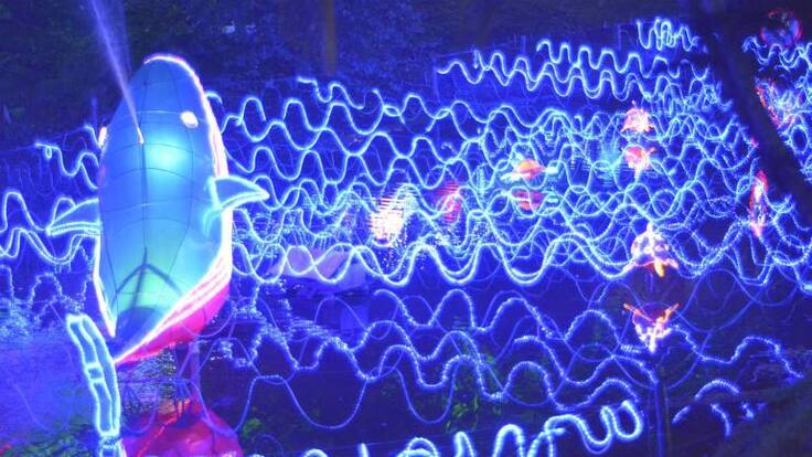 “Una navidad por la vida, cuidemos el agua” alumbrado navideño en el Parque de la Vida de Armenia