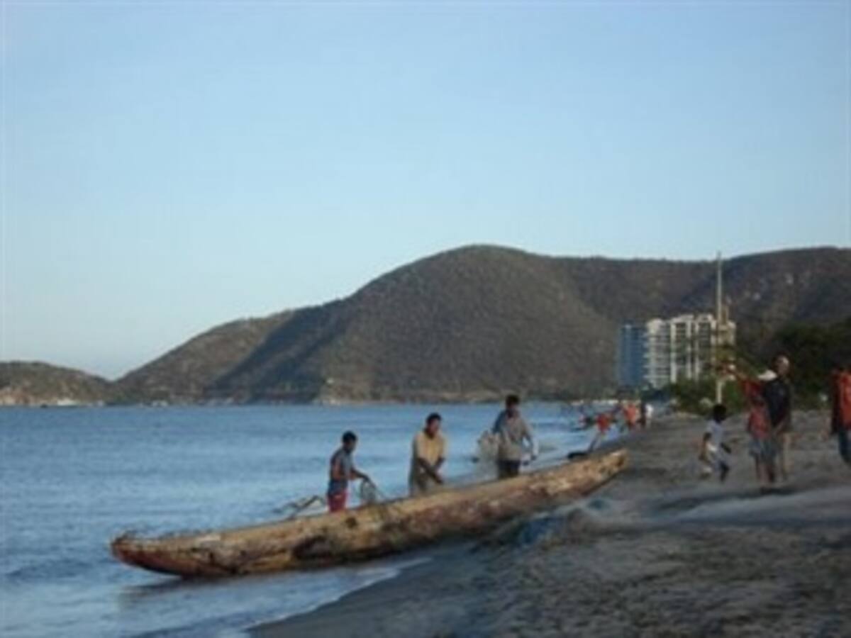Se agotan los recursos pesqueros en el mundo