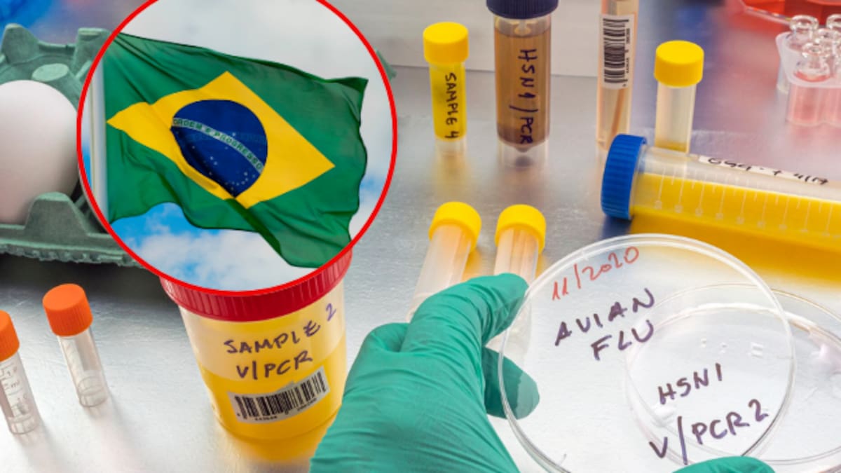 Brasil inicia ensayos clínicos en humanos de vacuna contra la gripe aviar