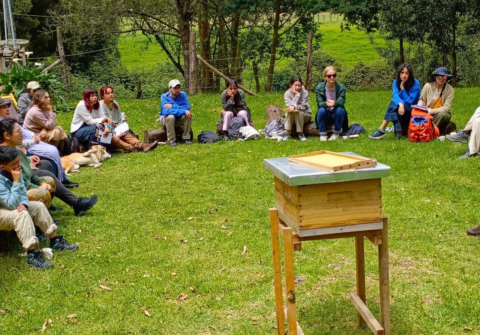 Desconectarse y encontrarse con la naturaleza en zonas verdes, además de respirar el aire de colmenas, permite mejorar los niveles de estrés en los visitantes | Foto: Fiba Tochua