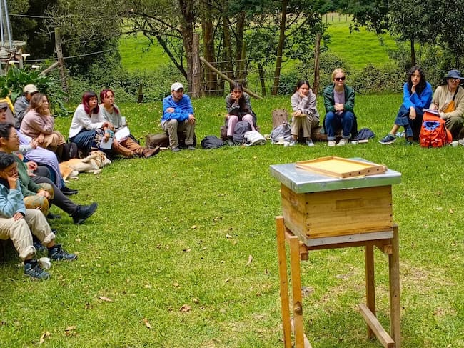 Desconectarse y encontrarse con la naturaleza en zonas verdes, además de respirar el aire de colmenas, permite mejorar los niveles de estrés en los visitantes | Foto: Fiba Tochua