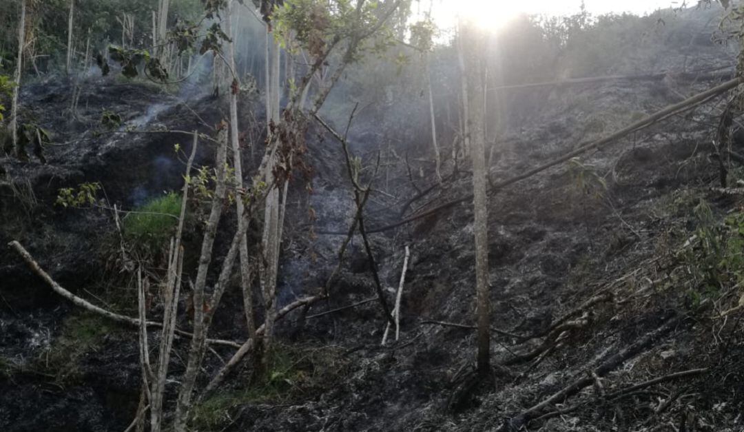 Archivo de incendios de cobertura vegetal en Caldas