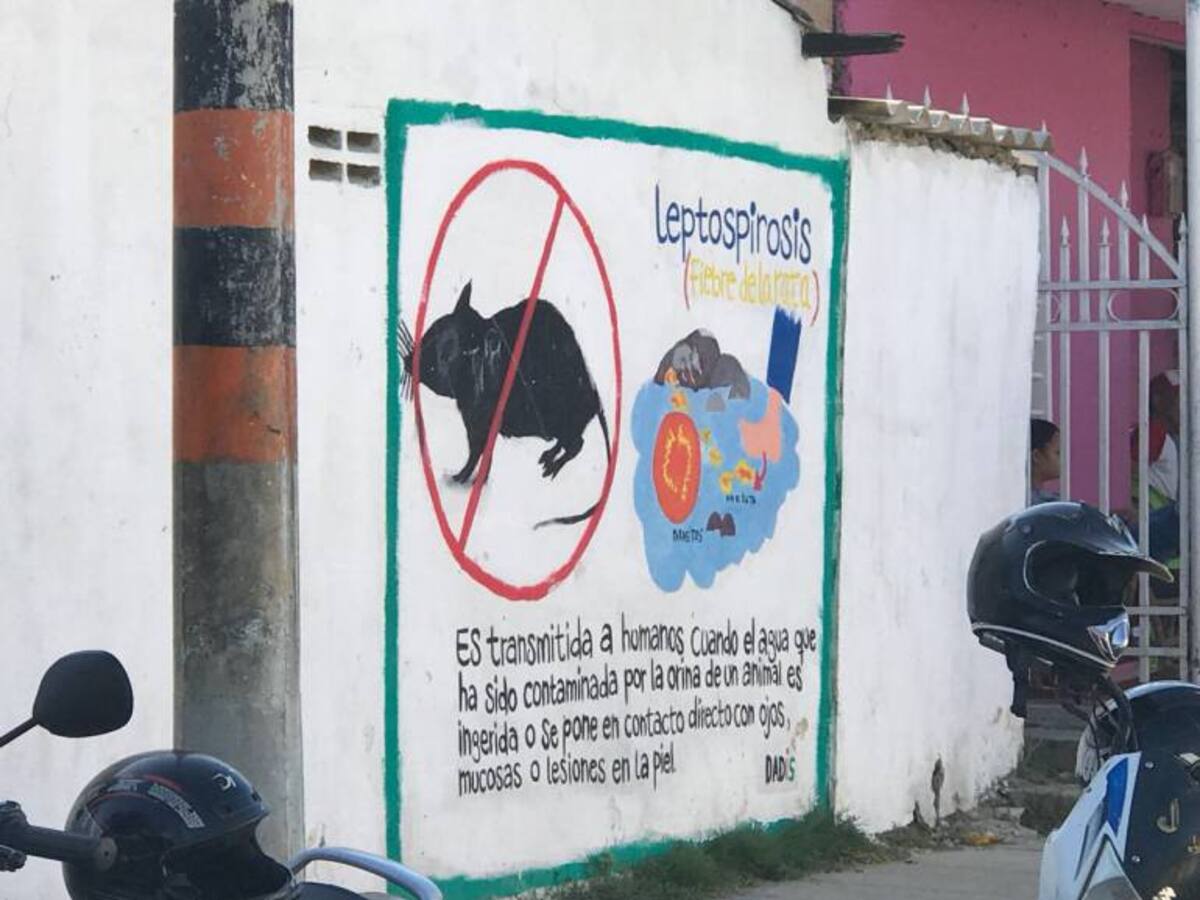 En el año 2022 Cartagena reporta 125 casos de leptospirosis: Dadis