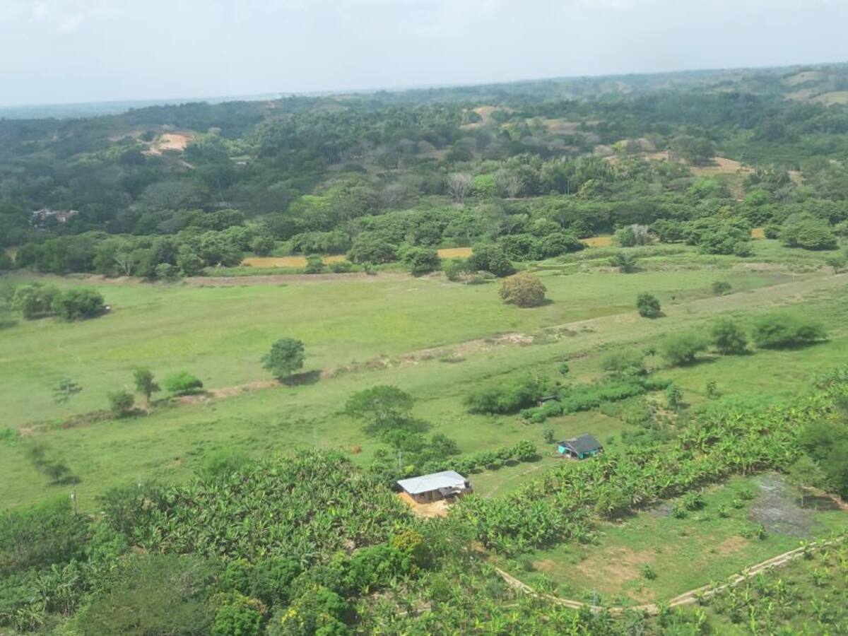 En 2021 se han hecho 100 demandas de restitución de tierras en Antioquia