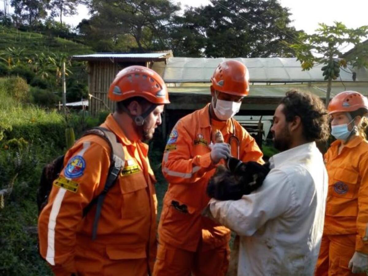 Rescate de animales también ocupo a socorristas en emergencia en Calarcá