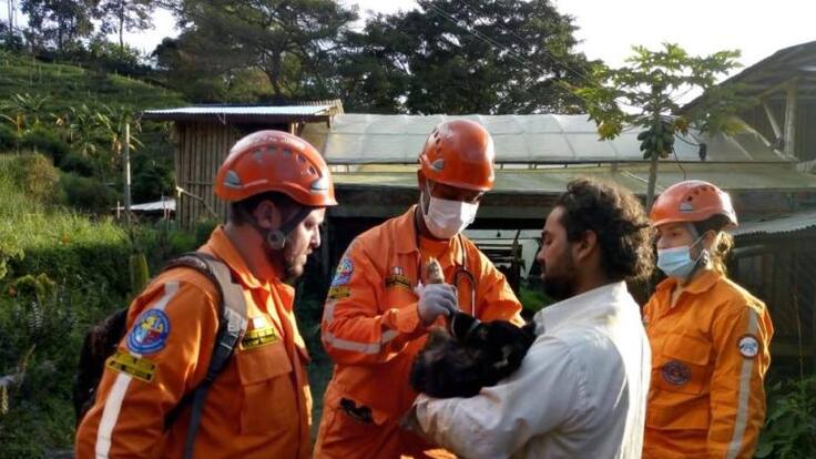 Rescate de animales también ocupo a organismos de socorro en emergencia en Calarcá