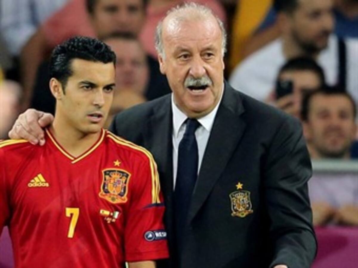 Vicente del Bosque sumó el título de la Eurocopa a su inmenso historial