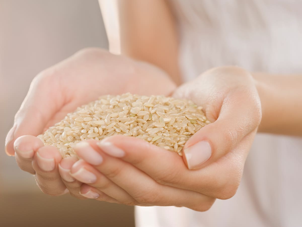 ¿Qué es el arroz, una harina o un cereal?: FAO explica cómo está compuesto