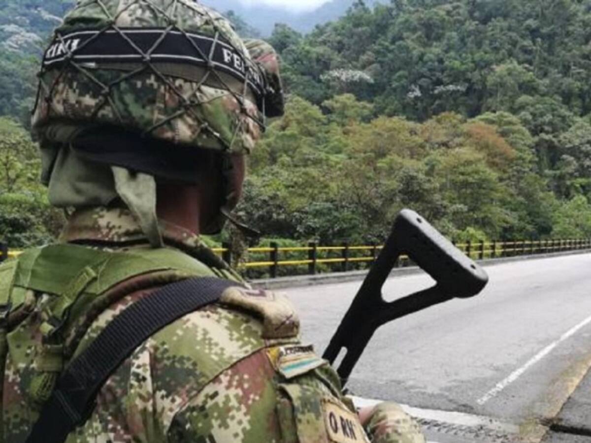“Grupos ilegales quieren impedir la erradicación”: Ejército