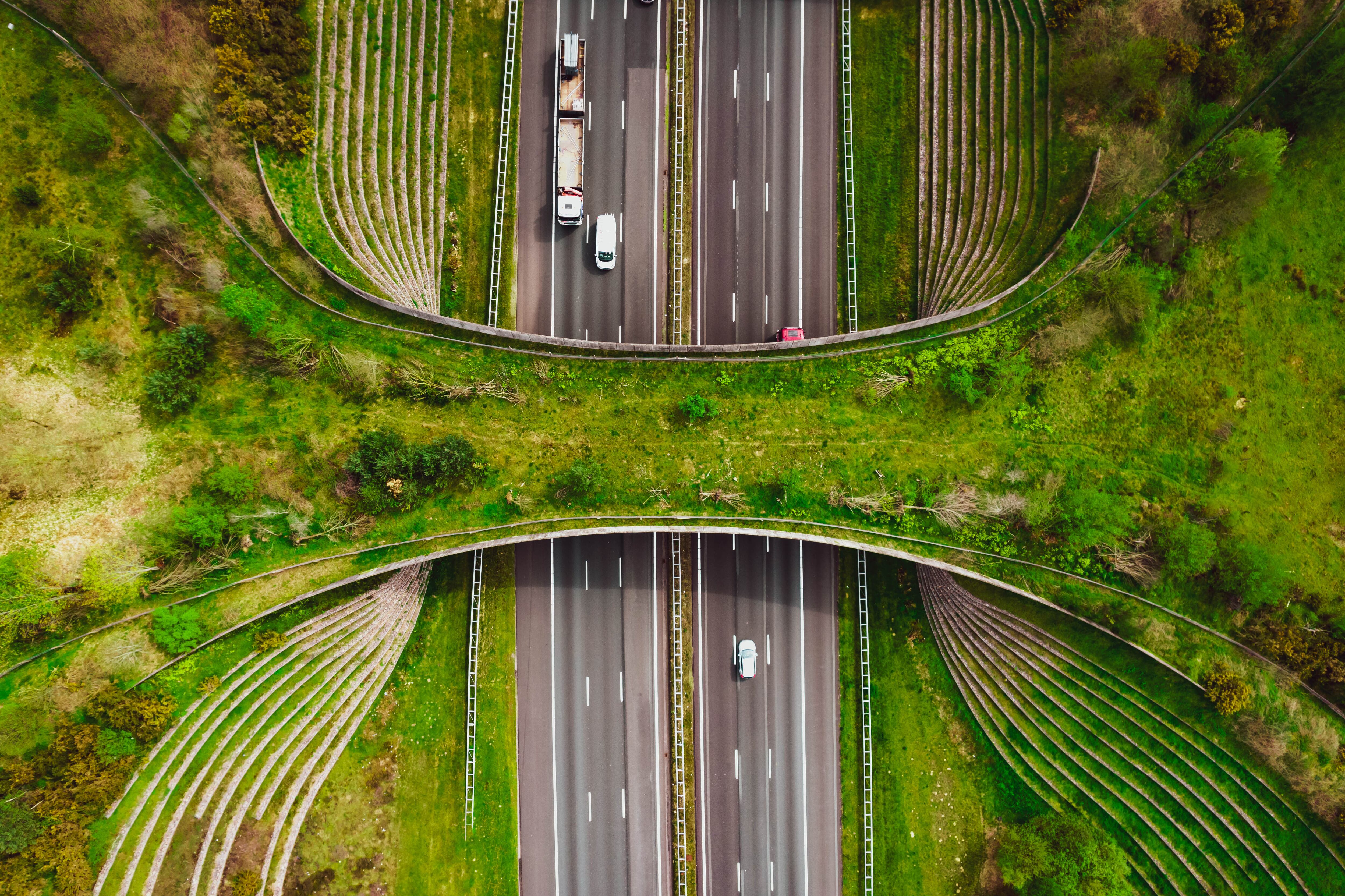 Getty Images - Cumbre Internacional de Sostenibilidad e Innovación Ambiental, Bogotá