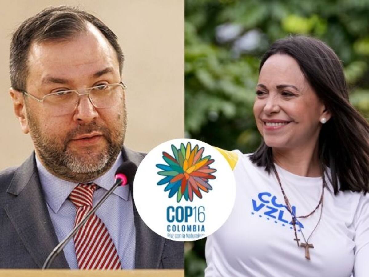 María Corina es nada, Venezuela decidió: Yván Gil