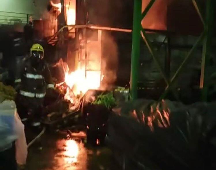 Foto: Seguridad Pereira (red de apoyo)