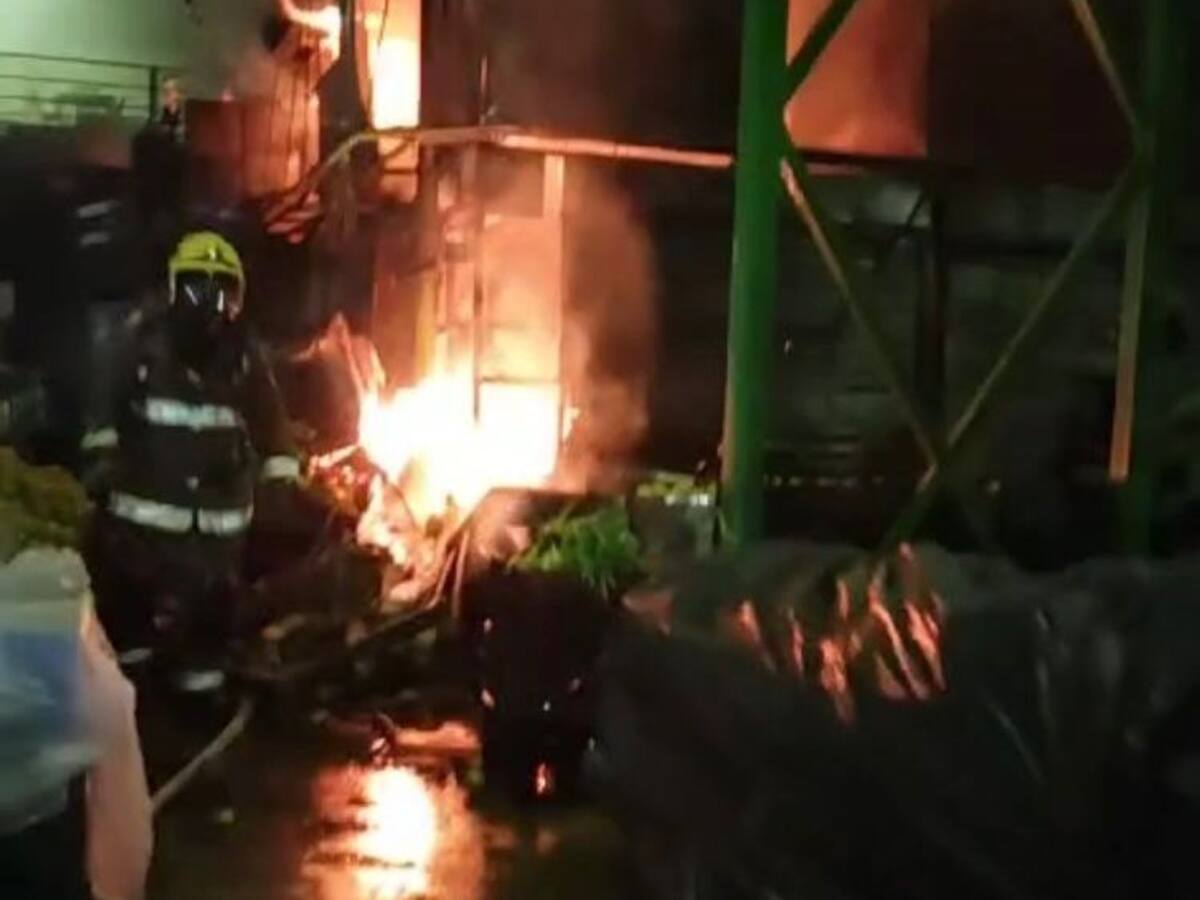 Incendio en la Plaza Minorista de Pereira, afectó 20 locales comerciales