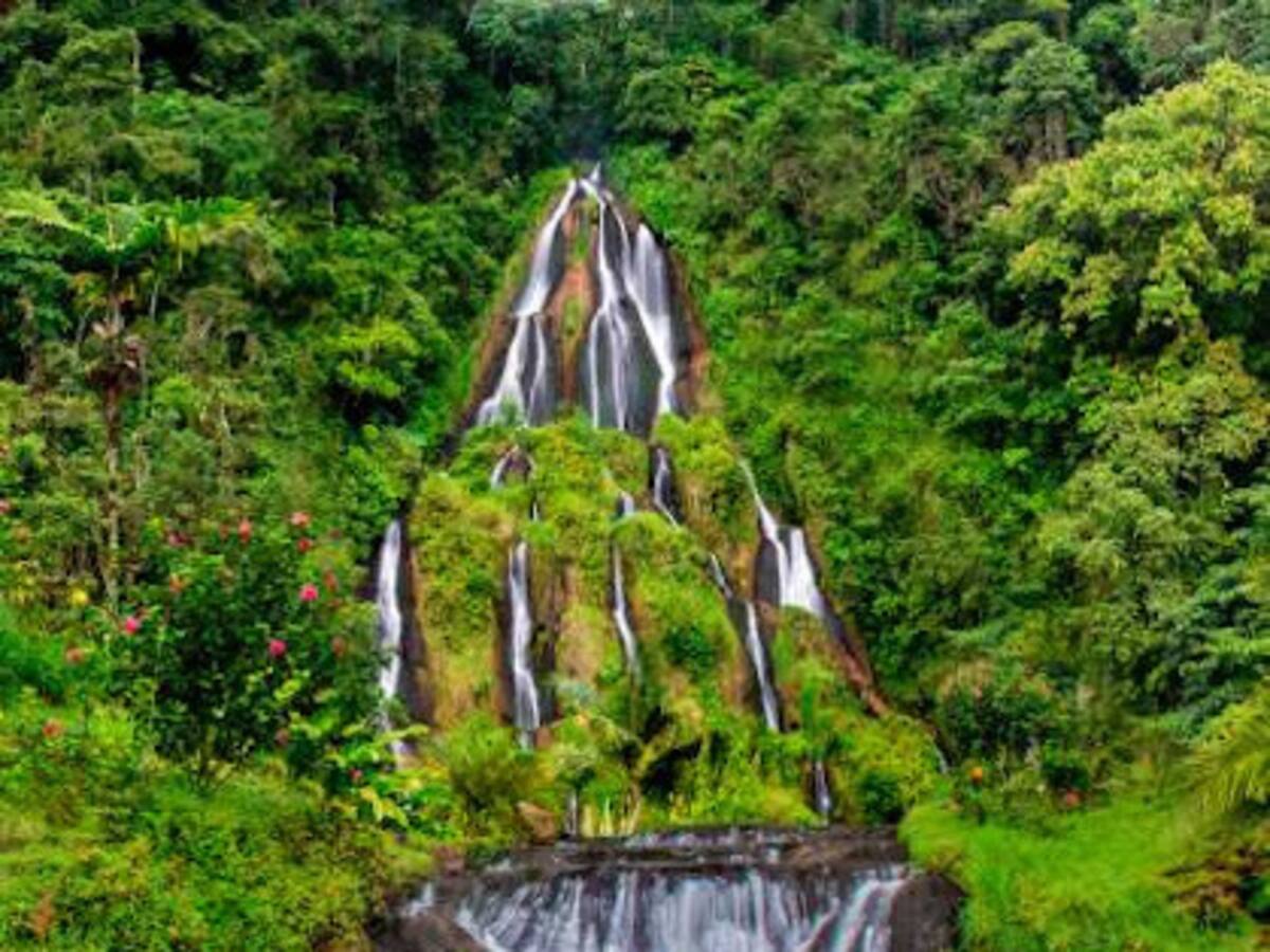 Risaralda supera el 90% en ocupación hotelera para diciembre