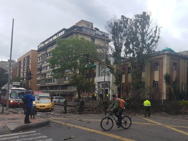 Al día en promedio se reportan tres árboles caídos en Bogotá
