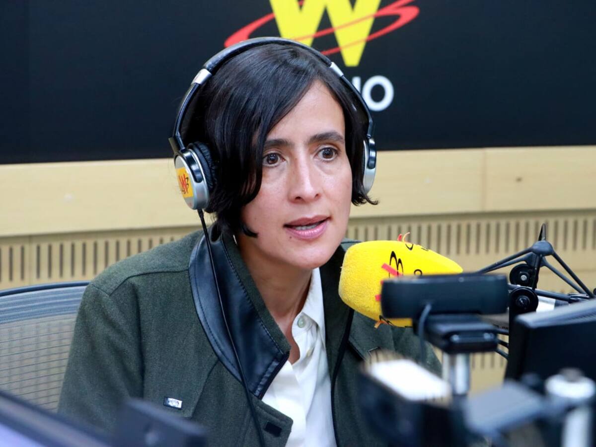 Desarrollarlo no es posible sin pueblo Wayúu: MinAmbiente por parque eólico en La Guajira