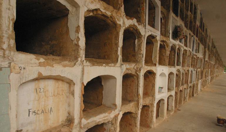 Imagen de referencia