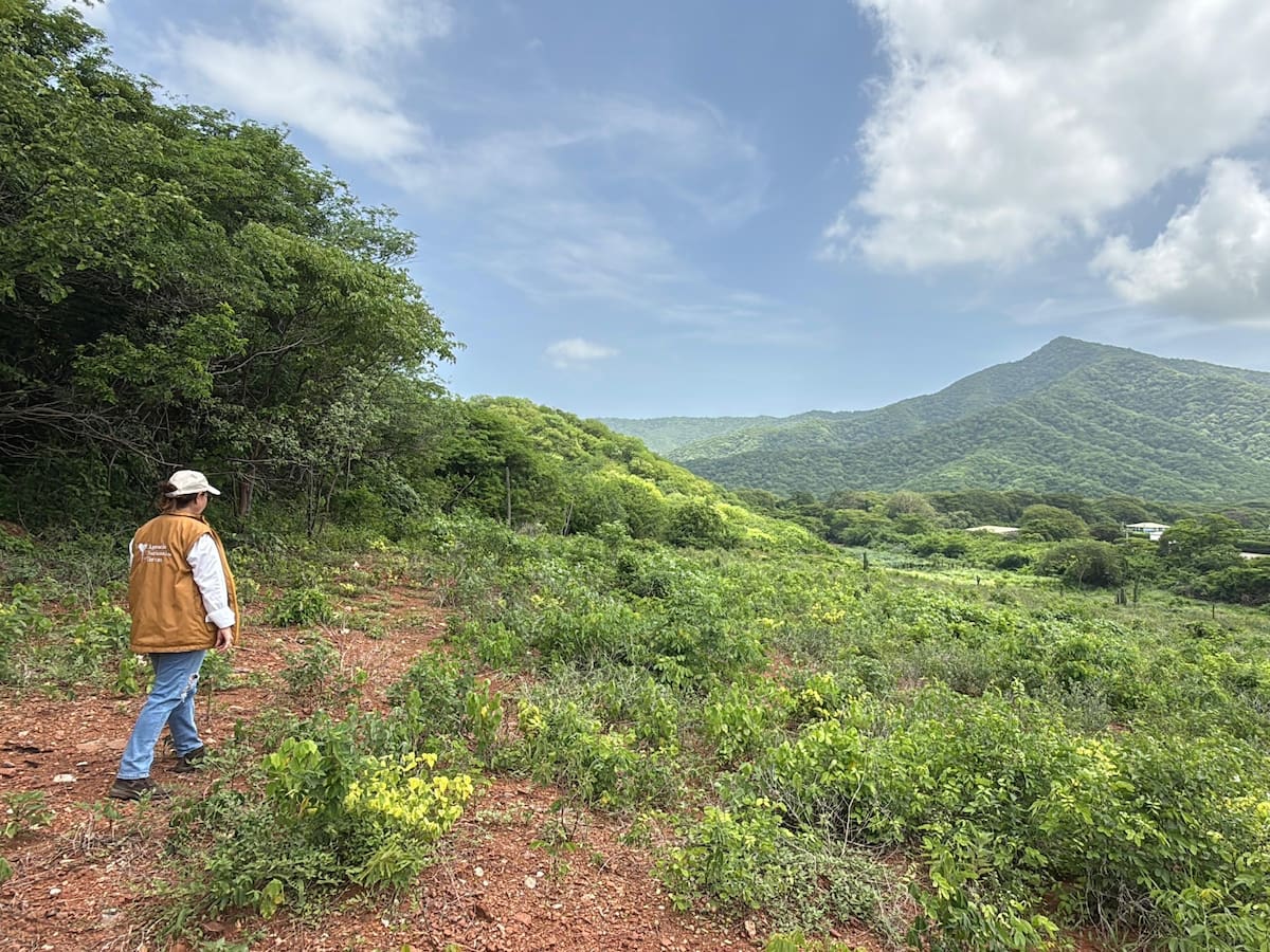 ANT recupera 892 hectáreas en el Magdalena, predios antes usados para intereses ilegales