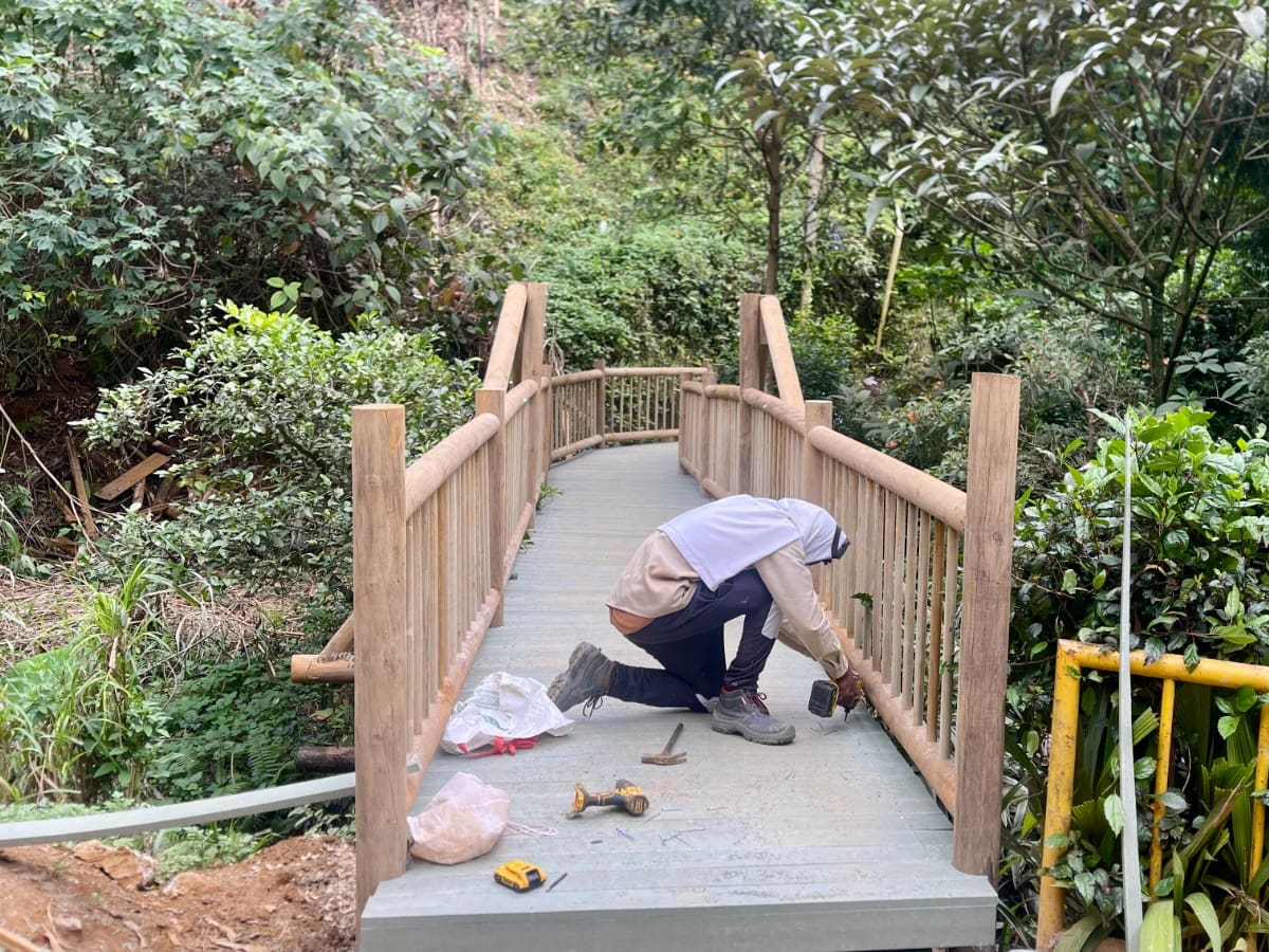 Medellín estrena 54 nuevos puentes peatonales para mejorar la movilidad de la ciudadanía
