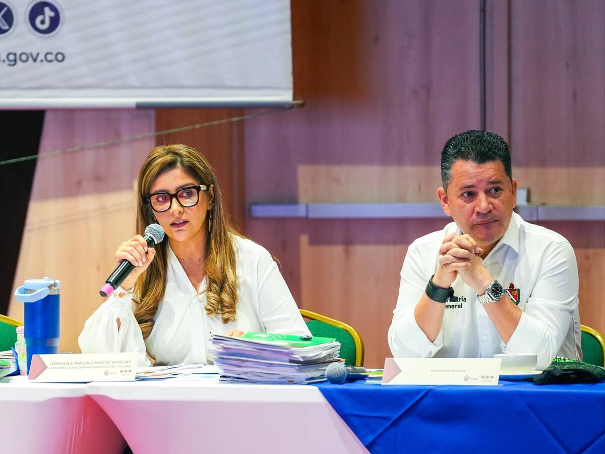 “Decreto 1474 pone en riesgo la estabilidad financiera de los departamentos”: gobernadora del Tolima