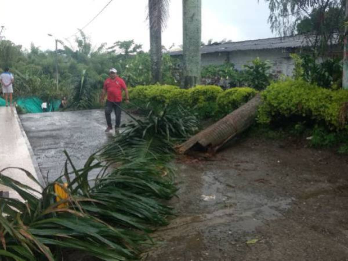 Fuerte vendaval causa afectaciones en el sector de Cerritos en Pereira