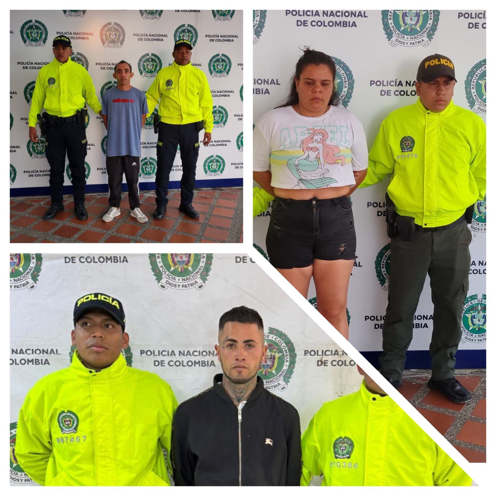 Resultados de la operación militar Themis