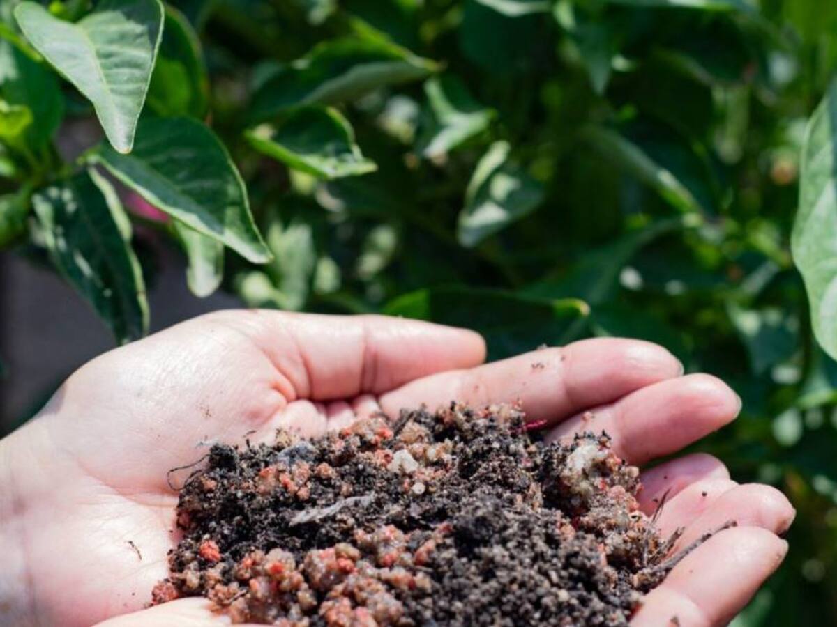 Fertilizantes adulterados en el Huila aún no dan con los responsables