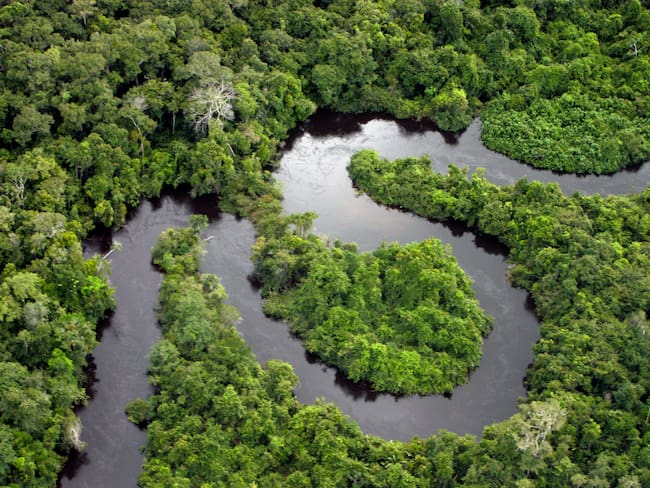 Se han perdido más de 100 kilómetros de selva en la conexión andino amazónica