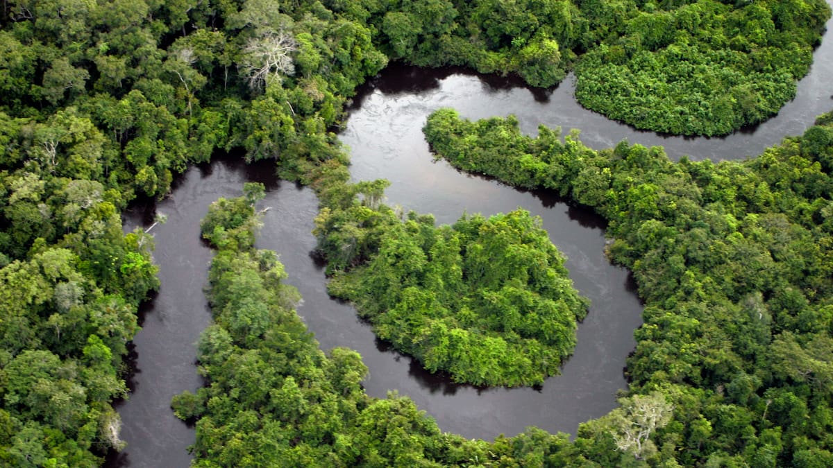Se han perdido más de 100 kilómetros de selva en la conexión andino amazónica
