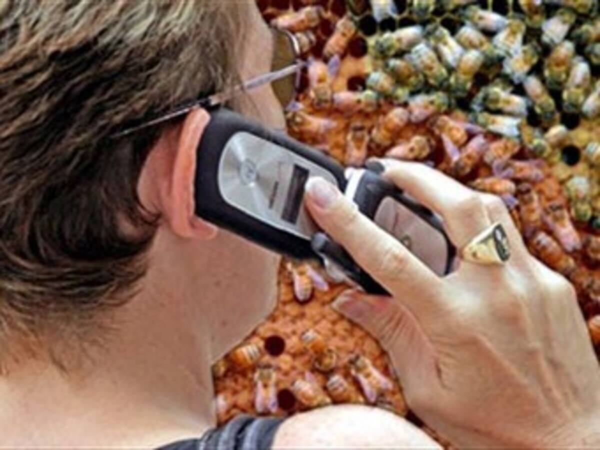 A partir de mañana los colombianos podrán tener su número celular para toda la vida