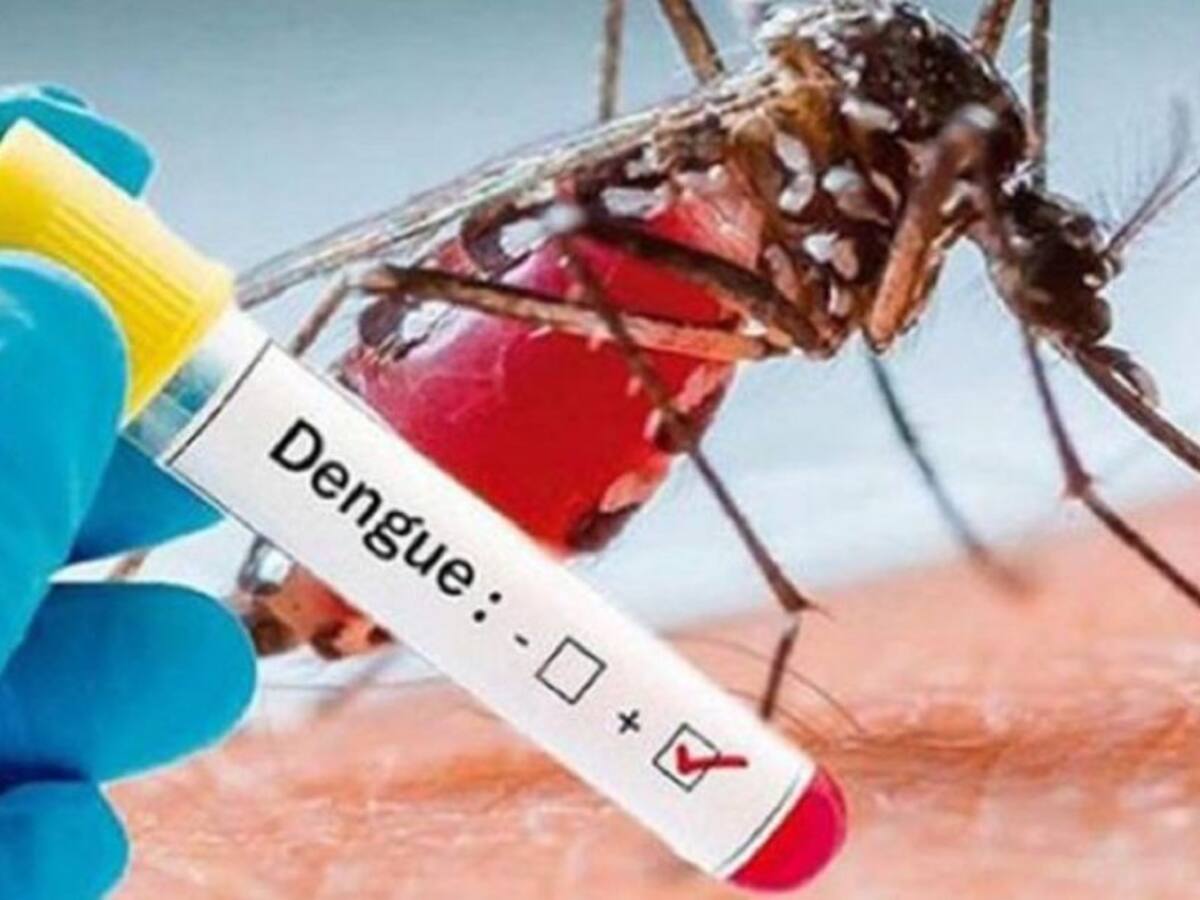 Por el virus de Dengue han muerto en Cali 18 personas. En el Valle 49