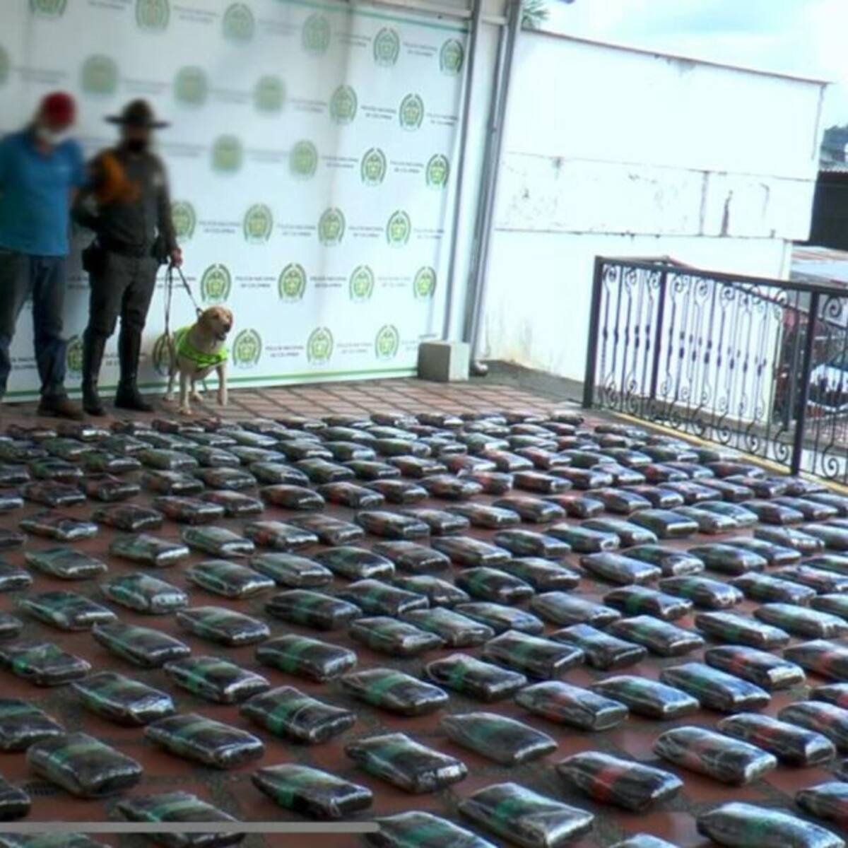 Incautan 374 kilogramos de droga en zona rural de Pereira