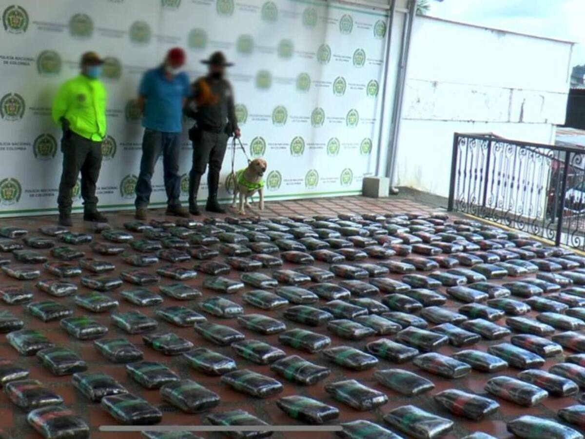 Incautan 374 kilogramos de droga en zona rural de Pereira