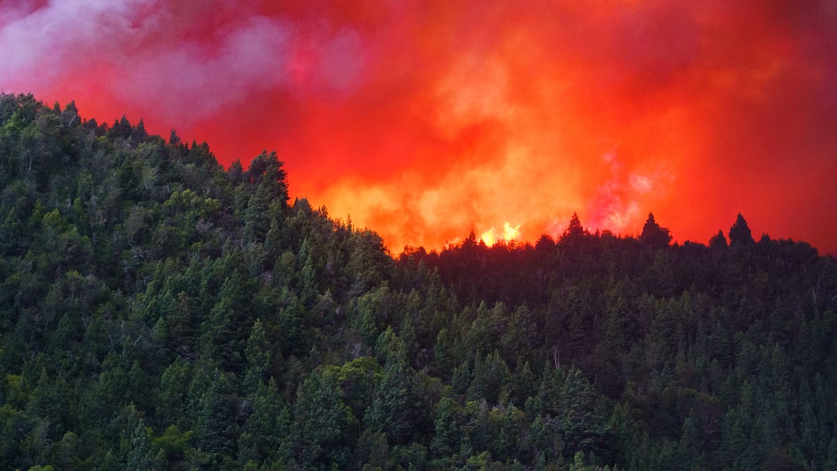 Incendios en Patagonia argentina destruyen más de 15.000 hectáreas
