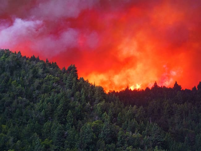 Incendios en la Patagonia de Argentina.
(Foto: Cristian Kovadloff/Anadolu Agency via Getty Images)