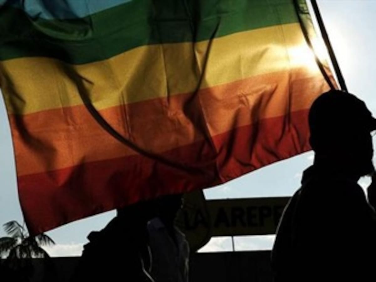 Miembros de comunidad LGBTI de otras ciudades llegan a Medellín a cometer delitos