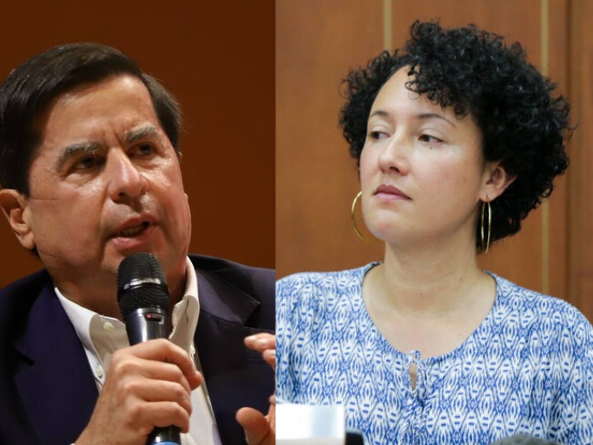 Gobierno no acompañará la propuesta de reelección presidencial que propuso Isabel Zuleta