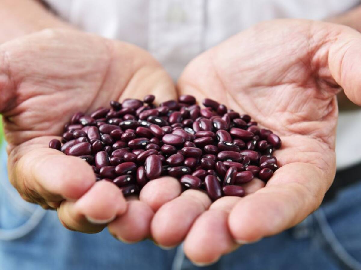 Productores de frijol reciben materiales para proteger el ambiente